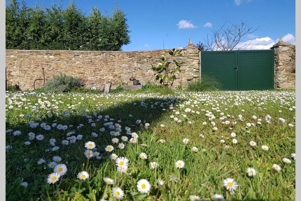 Estudio Pajar Rural Con Bonito Jardin - Los Gayoles Rural Castropol Exterior photo